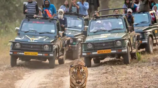 Garjiya  Jeep Safari Zone