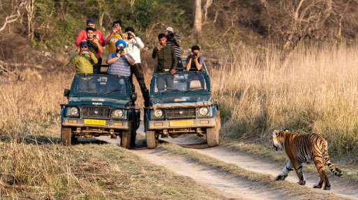 Fato Jeep Safari Zone