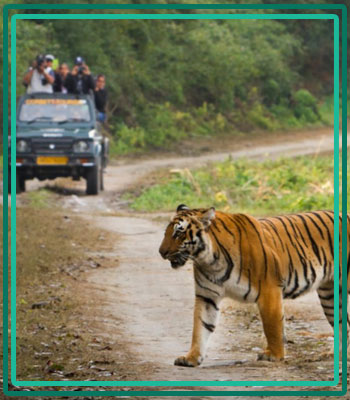 Adventure Activities in Jim Corbett Uttarakhand