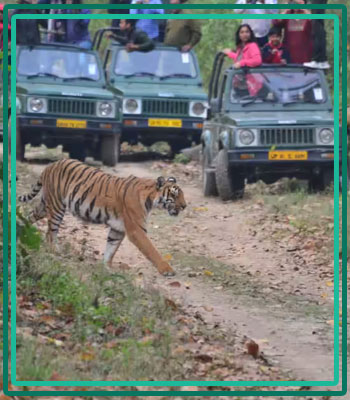 Jim Corbett Corporate Group Tour