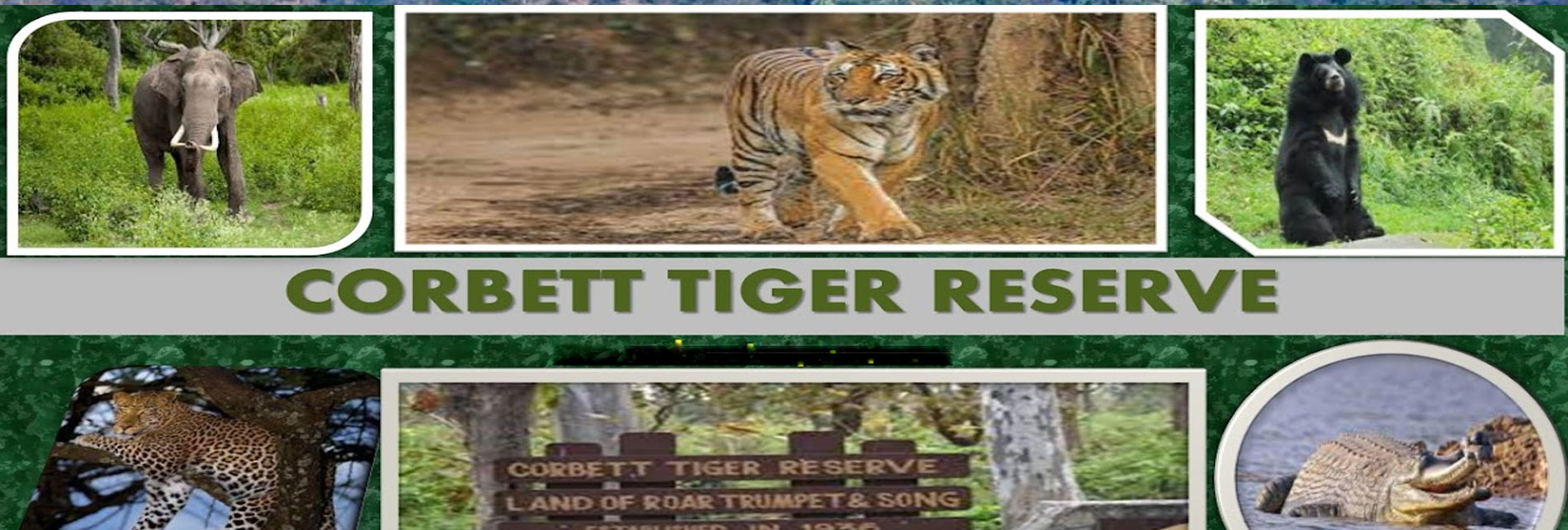 Corbett Habitats & Wildlife