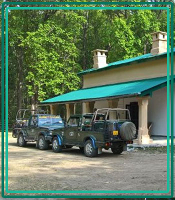  Corbett Forest Lodge