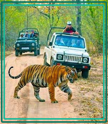 Corbett Nainital Tourm
