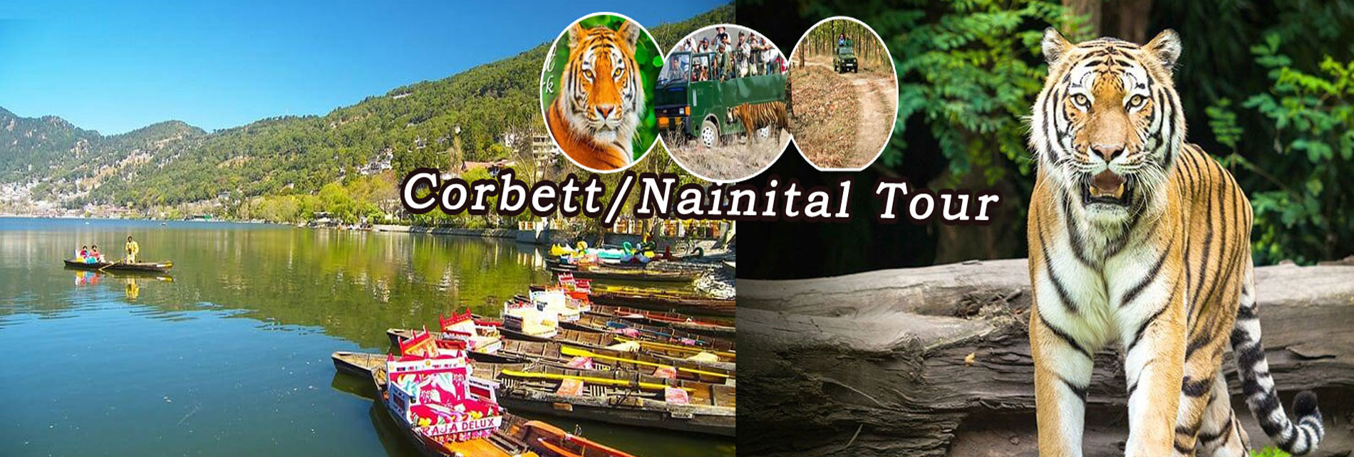 Jim Corbett Holiday Tour & Corbett Wildlife