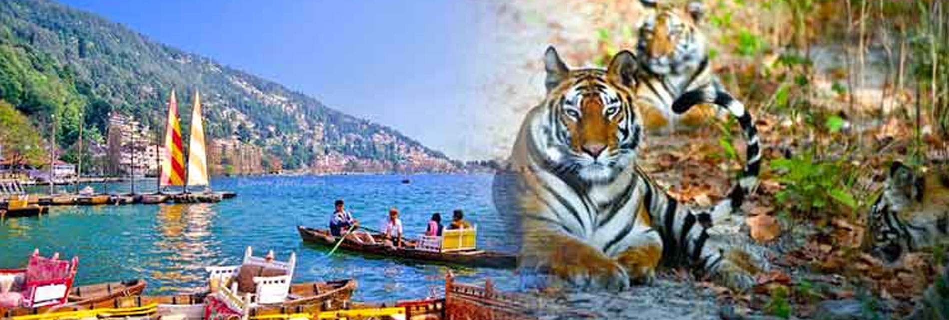 Corbett Tour Package
