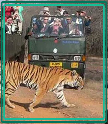 Jim Corbett and Rishikesh Travel