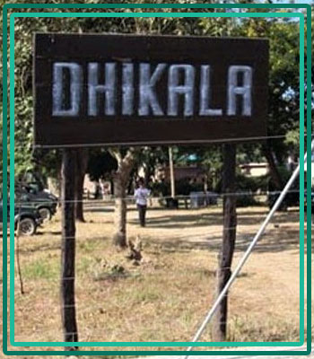 Jim Corbett and Rishikesh Travel