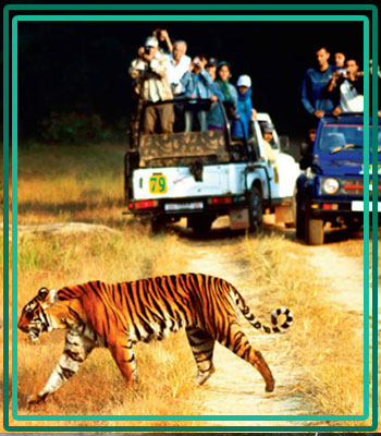Jim Corbett Fun Tour