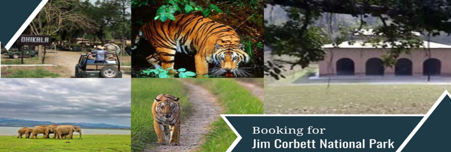 Jim Corbett Jeep Safari Permit