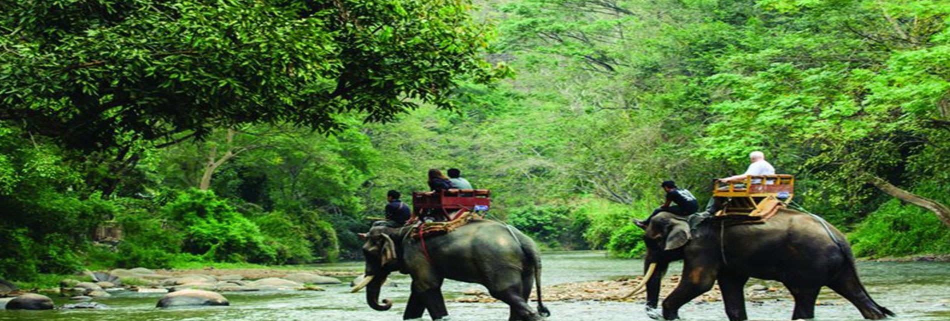 Jim Corbett Tourism