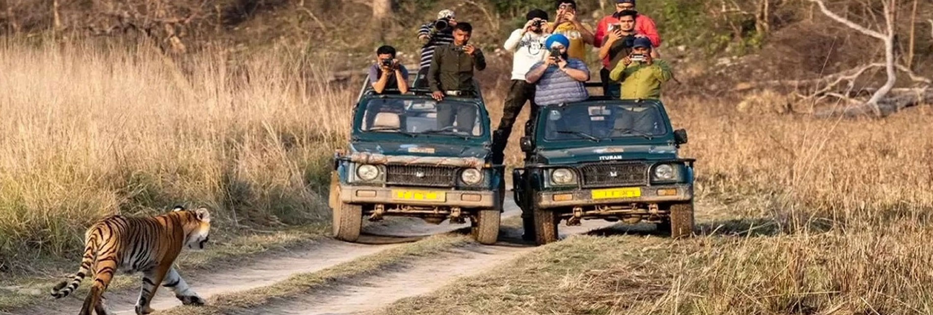 Safari Tourism Zones in Jim Corbett Park